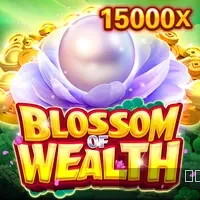 Kinh nghiệm chơi lô đề new88bi và hỗ trợ