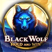 Hướng dẫn chơi game bài new88bi