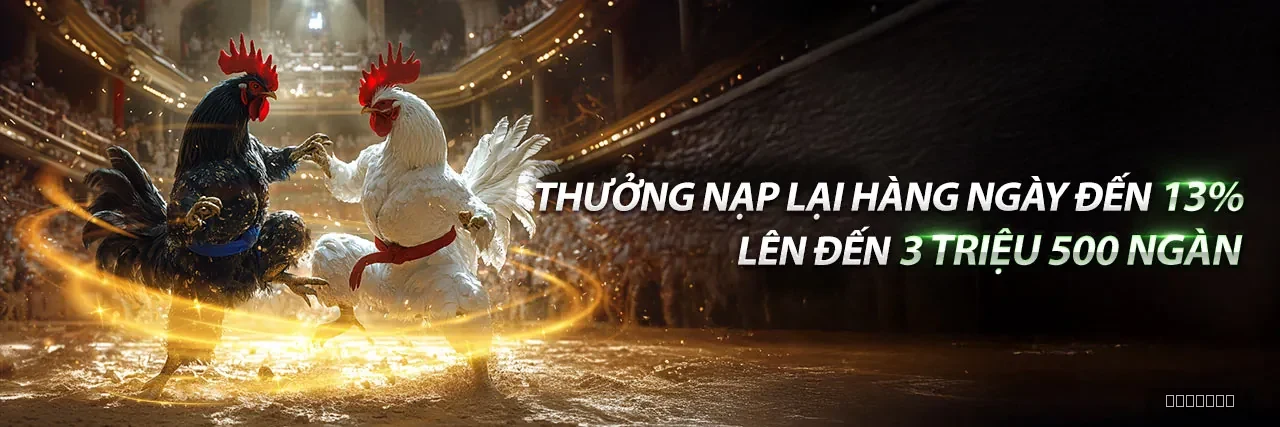 Đá gà new88bi - đấu trường trực tuyến hấp dẫn